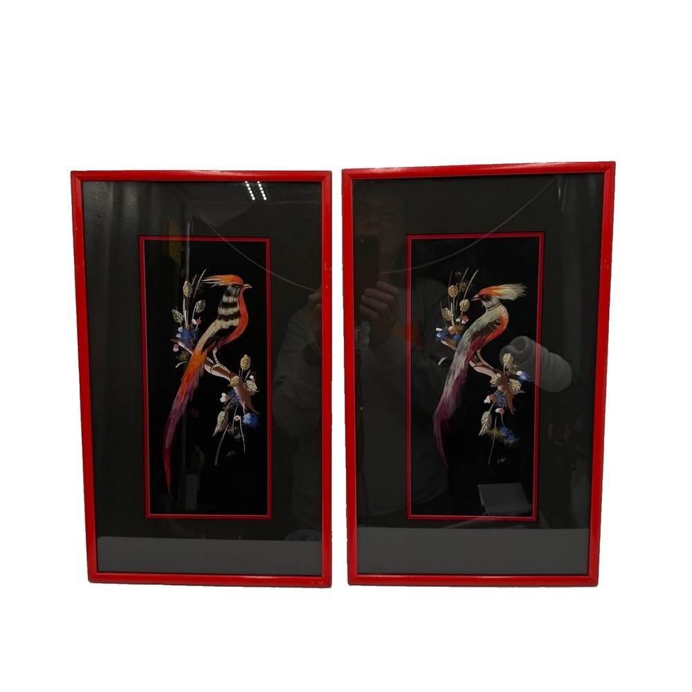 Pair Large Original Vintage Real Bird Feathers Painting. Black Matting Red Frame